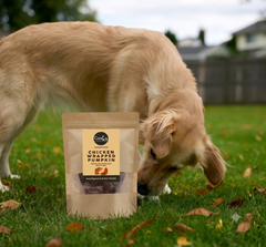 Chicken-Wrapped Pumpkin Super Healthy Dog Treats