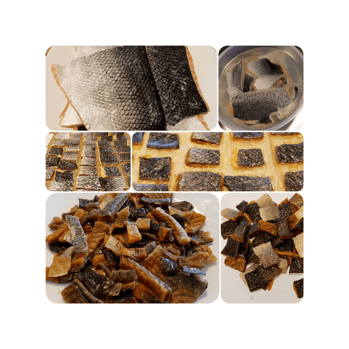 Air-Dried Alaskan Salmon Bite
