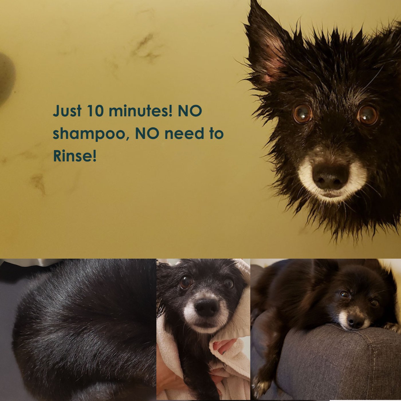 Bath Tablet