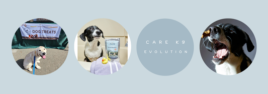 Freshness to Your Doorstep: The Evolution of CareK9