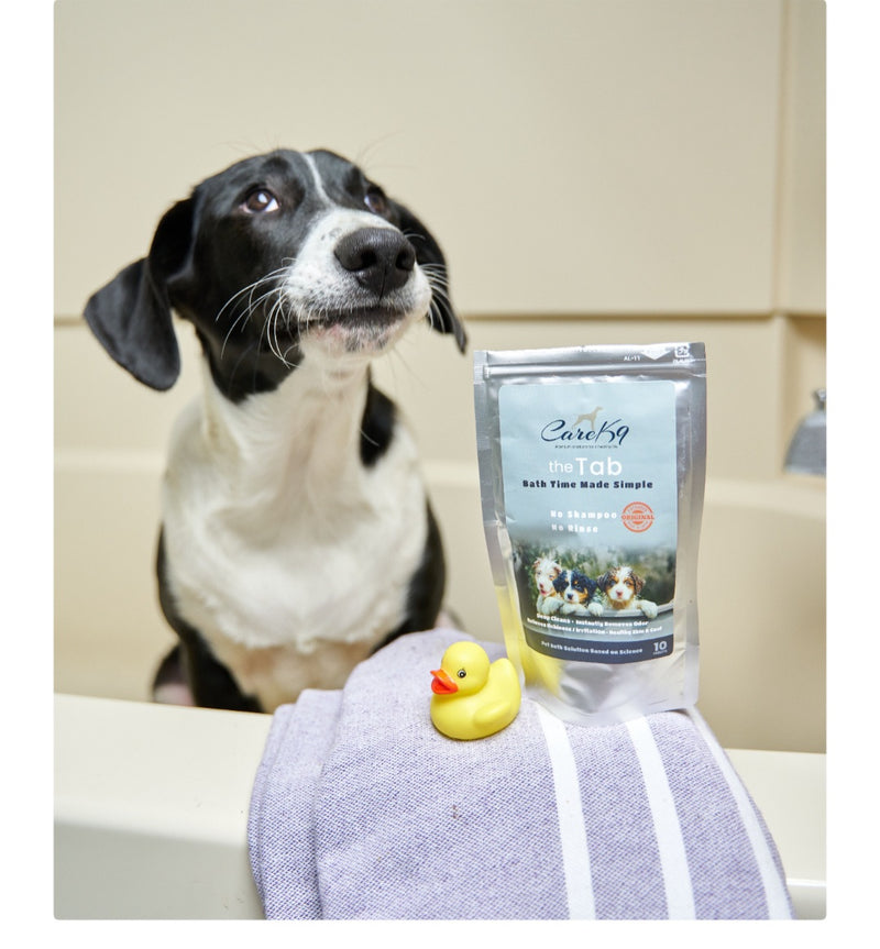 Cavalier King Charles Spaniel being hand-fed a natural dog treat