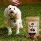 OXIDOG™ Antioxidant Chips