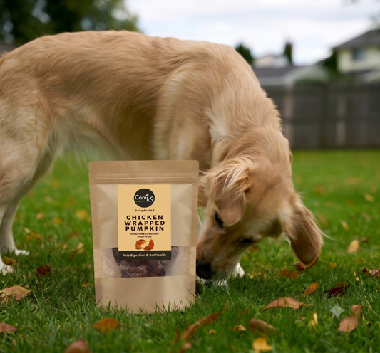 Chicken-Wrapped Pumpkin Super Healthy Dog Treats