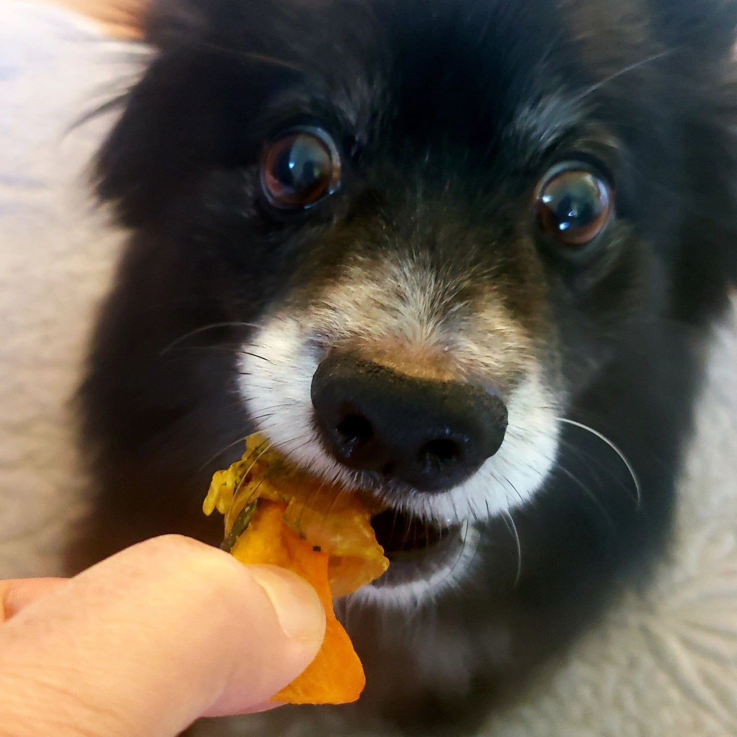 Chicken-Wrapped Pumpkin