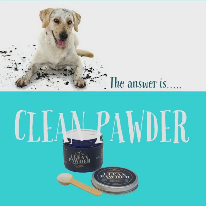 Best paw hotsell wax for dogs